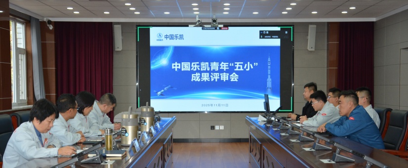 激揚青春智造力！中國樂凱團(tuán)委召開青年&ldquo;五小&rdquo;成果評審會